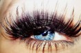/album/cosmeticos-allison-/a2pestaas-jpeg1/