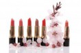 /album/cosmeticos-allison-/cosmeticos-4-jpg/